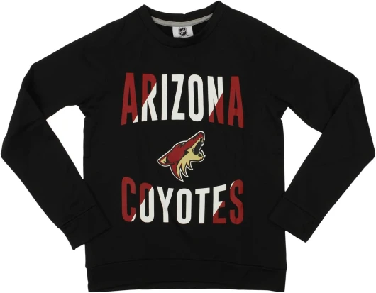 NHL Little Boys 4-7 And Big Boys 8-20 Performance Fleece Crew Neck Long Sleeve Team Color Sweatshirt Arizona Coyotes Medium