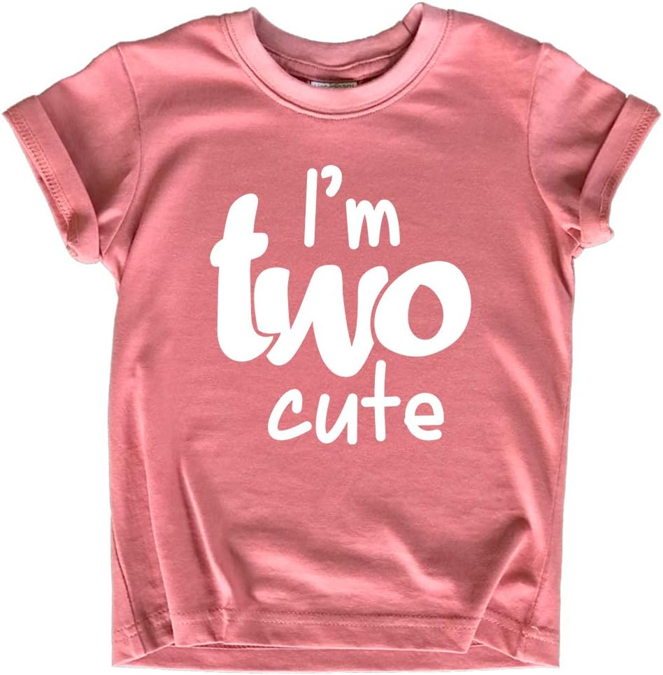 2nd Birthday Outfits for Toddler Girls im Two Cute Shirt Girl 2 Years Old Second Birthday 3T Mauve
