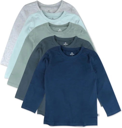 5-Pack Long Sleeve T Shirts 100% Organic Cotton for Toddler, Little Kids Boys, Girls 24 Months Morning Mountains