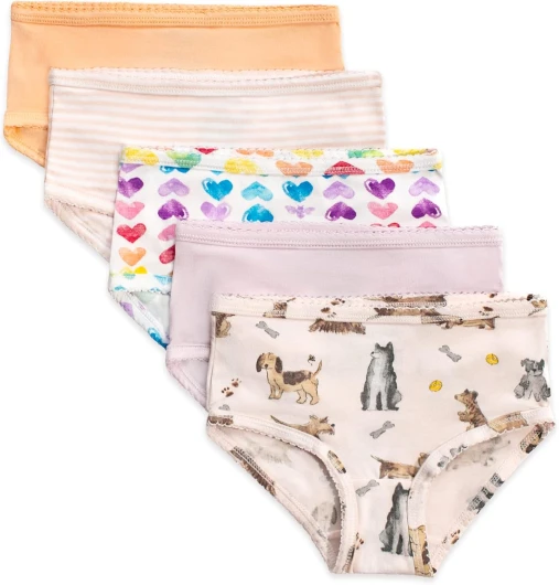 Burt's Bees Baby Toddler Girls' Underwear Set of 5 - Solids, Stripes,Prints, Tag-Free with Sizes for 2T to 8 Years Old 2-3T Puppies & Rainbows