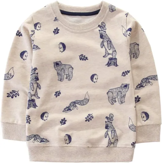 Toddler Boy's Kids Crewneck Pullover Sweatshirts 2-7Year 7 Years Bear