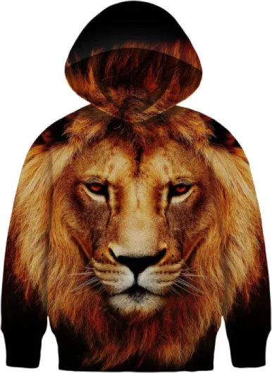 Kids Hoodie 3D Graphic Sweater with Pocket for Boys Girls 6-15 Years 6-8 Years Lion