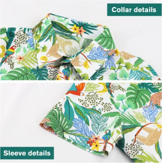 91IboNiSTtL._AC_SL1500_