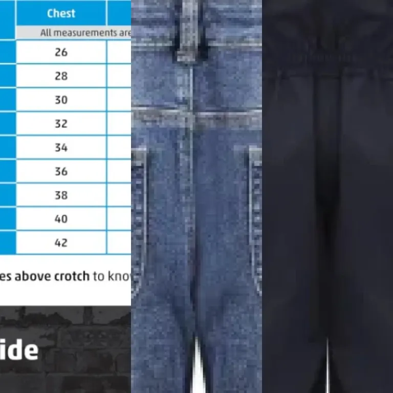 Comparison of the 5 best overalls (2026)